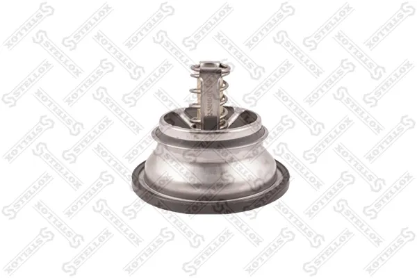 Termostat 7421746213 Renault (RVI)