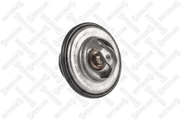 Termostat BMW 3 E21