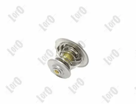 Termostat Volkswagen Passat B6