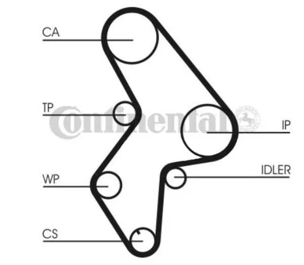 Pasek rozrządu Citroen Berlingo  MF