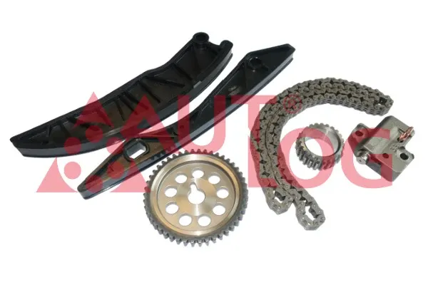 Łańcuch rozrządu, zestaw KT1031 Autlog