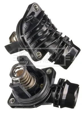 Termostat BBT521 Borg&beck