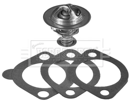 Termostat BBT251 Borg&beck