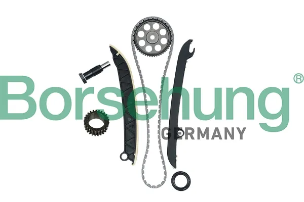 Łańcuch rozrządu, zestaw B16297 Borsehung