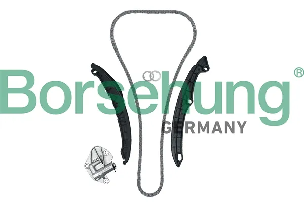 Łańcuch rozrządu, zestaw B19229 Borsehung