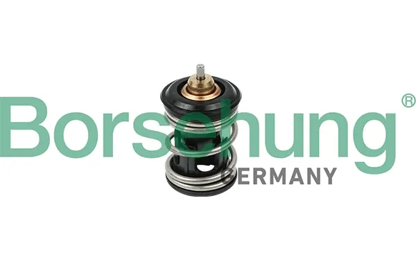 Termostat B18261 Borsehung