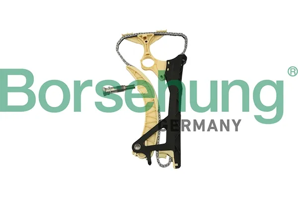 Łańcuch rozrządu, zestaw B18854 Borsehung