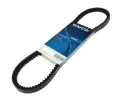 Pas napędowy mechanizmów 13A0875C Dayco