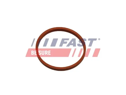 Uszczelka (podkładka) rurki intercoolera FT48932 Fast