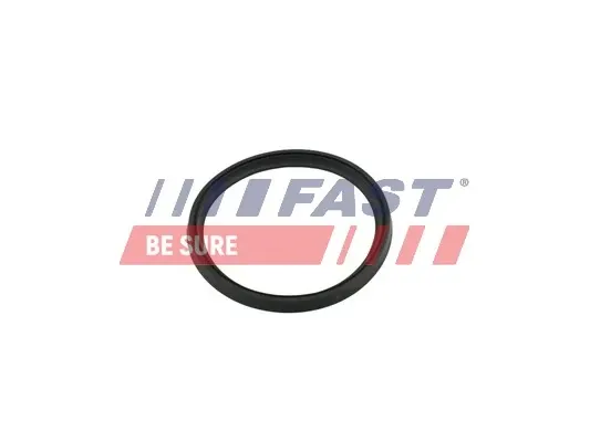 Uszczelka (podkładka) rurki intercoolera FT49854 Fast
