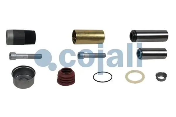 Zestaw naprawczy zacisku hamulcowego tylnego 6084004 Cojali