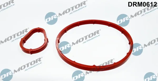 Uszczelka pompy próżniowej DRM0612 Dr.motor