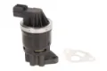 Zawór recyrkulacji spalin EGR ENT500143 Engitech