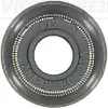 Uszczelniacz zaworu dolotowego/wylotowego Nissan Qashqai 1 J10