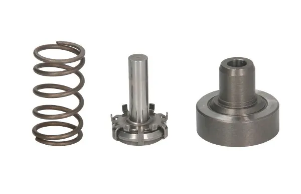 Para precyzyjna pompy wtryskowej F01M101349 Bosch