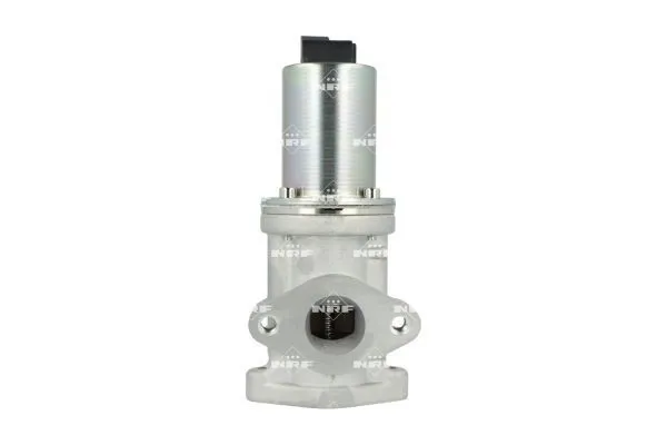 Zawór recyrkulacji spalin EGR 48689 NRF