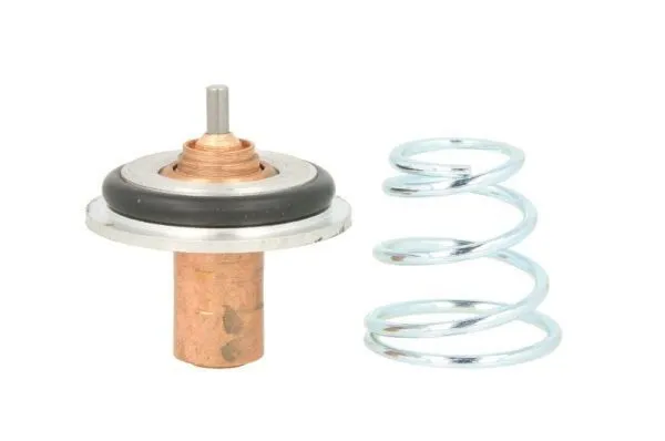 Obudowa termostatu D2R002TT Thermotec