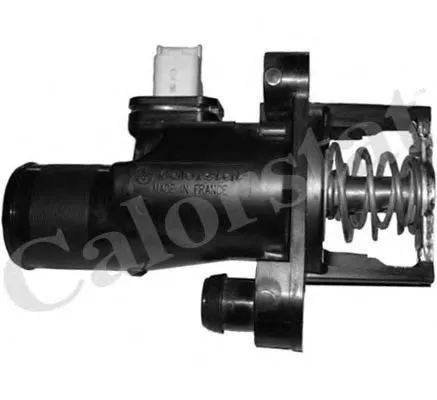 Termostat TH675684 Vernet