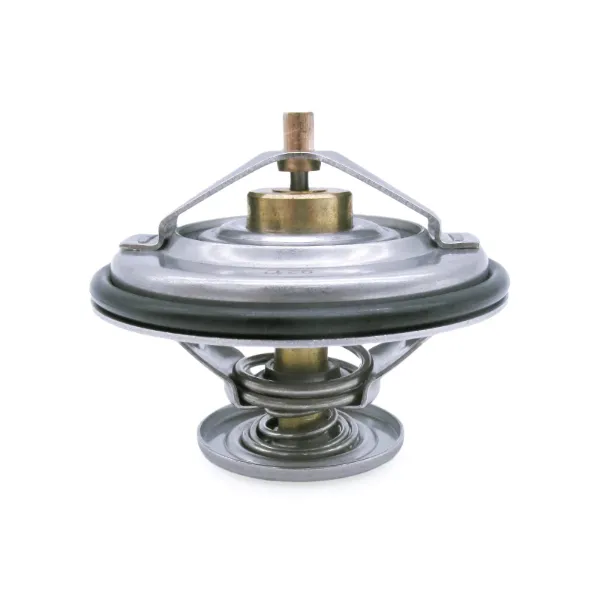 Termostat 11531713040 BMW