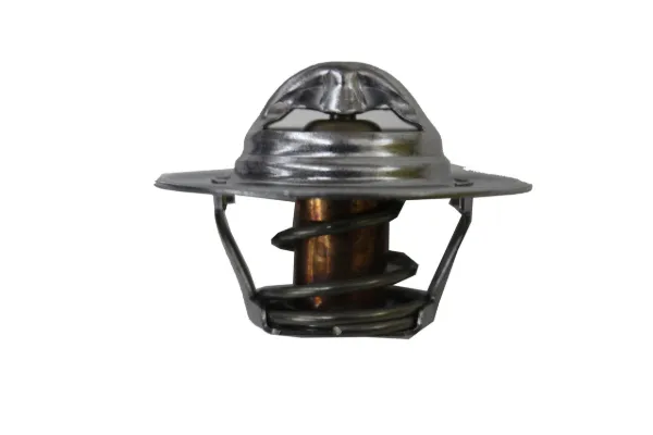 Termostat 52028186AC Chrysler