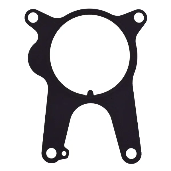 Uszczelka pompy próżniowej 71779194 Fiat/Alfa/Lancia