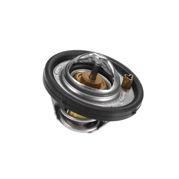 Termostat 4M5G8575ZB Ford