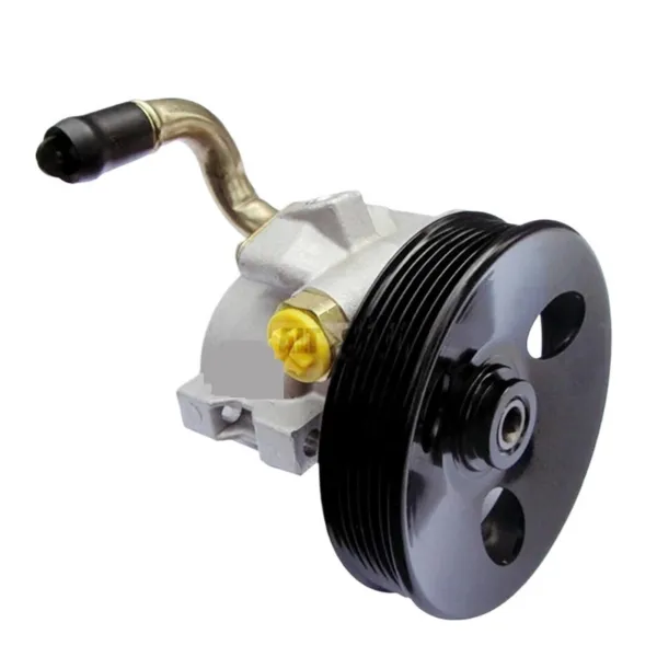 Pompa wspomagania hydraulicznego kierownicy 25953817 General Motors