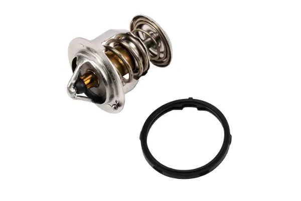 Termostat 89018168 General Motors