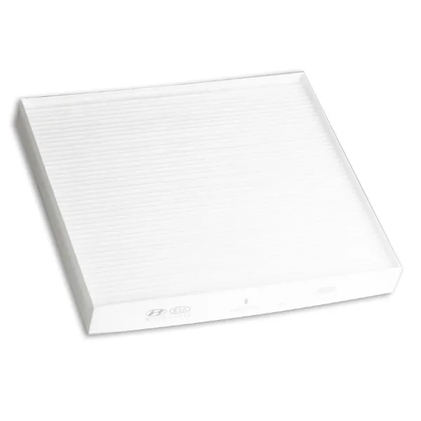 Filtr kabiny D5C79AC000 Hyundai/Kia