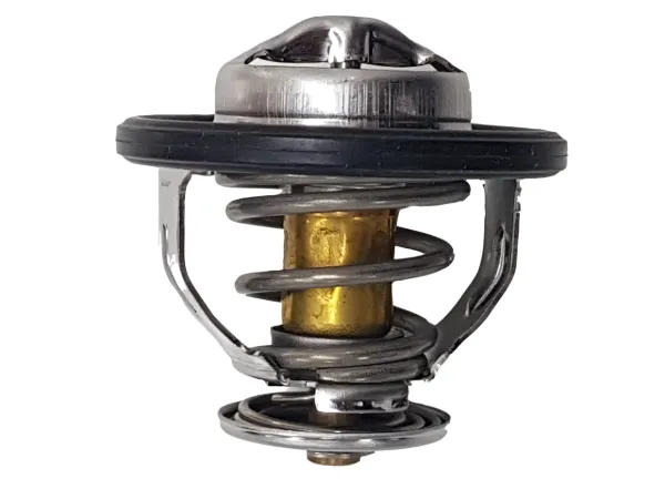 Termostat 255002GGA0 Hyundai/Kia