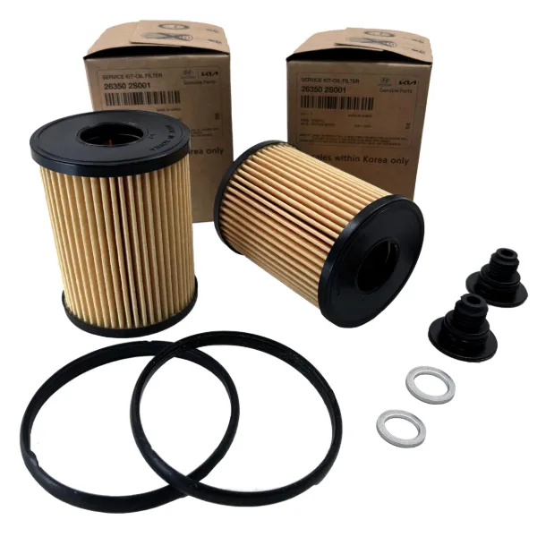 Filtr oleju 263502S000 Hyundai/Kia