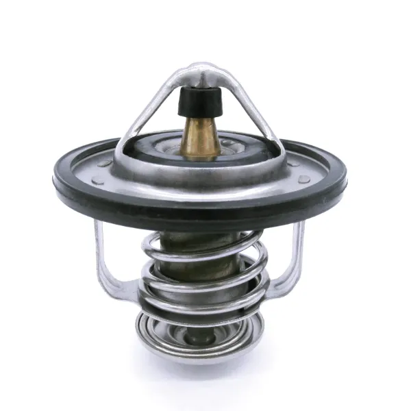 Termostat 212006N210 Nissan/Infiniti