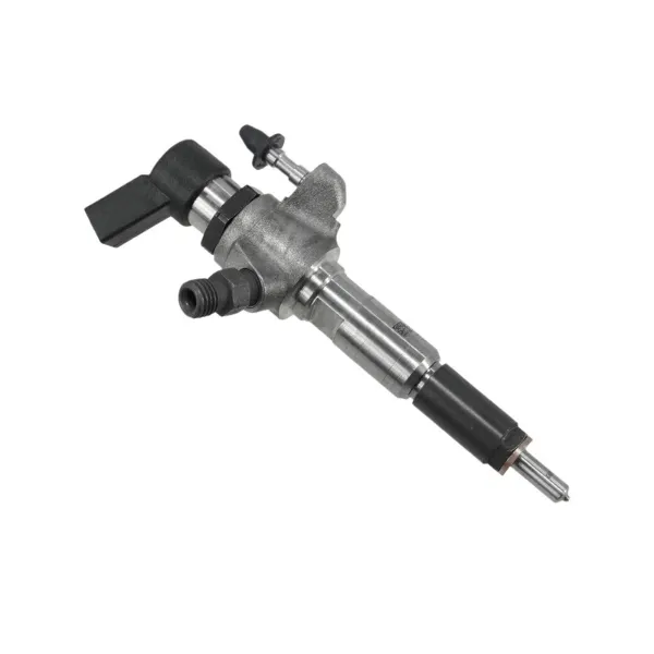 Wtryskiwacz paliwa 9674973080 Peugeot/Citroen