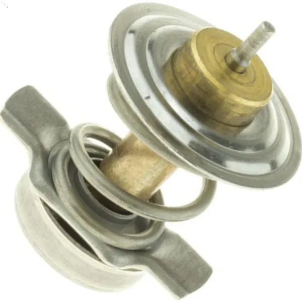 Termostat 99610612572 Porsche