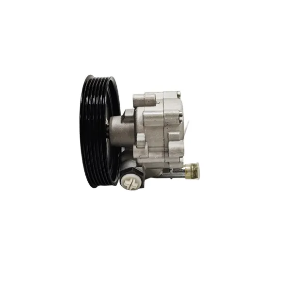 Pompa wspomagania hydraulicznego kierownicy 491100699R Renault (RVI)