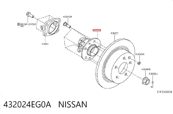Piasta tylna 432024EG0A Nissan/Infiniti