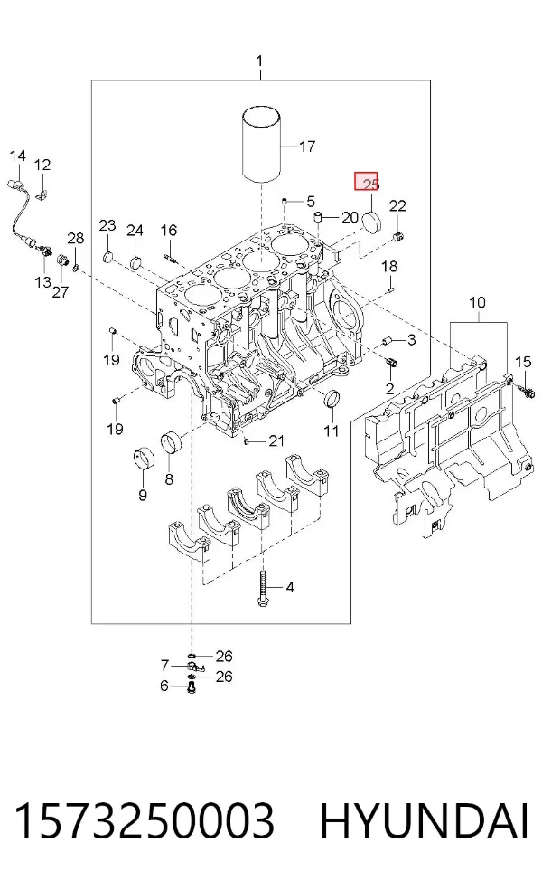 Zaślepka głowicy cylindrów/bloku cylindrów 1573250003 Hyundai/Kia
