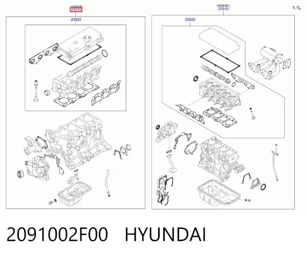 Zestaw uszczelek silnika pełny 2091002F00 Hyundai/Kia