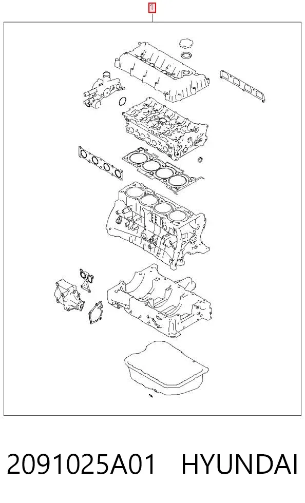 Zestaw uszczelek silnika pełny 2091025A01 Hyundai/Kia