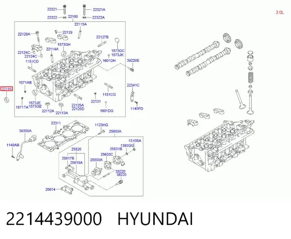 Uszczelniacz wałka rozrządu silnika 2214439000 Hyundai/Kia