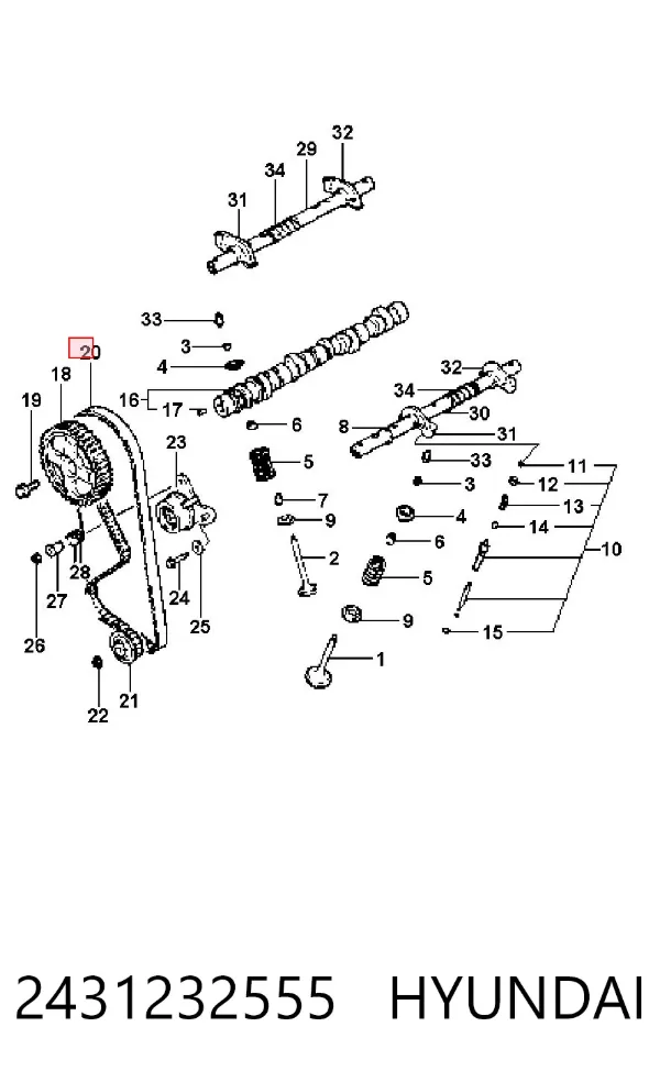 Pasek rozrządu 2431232555 Hyundai/Kia