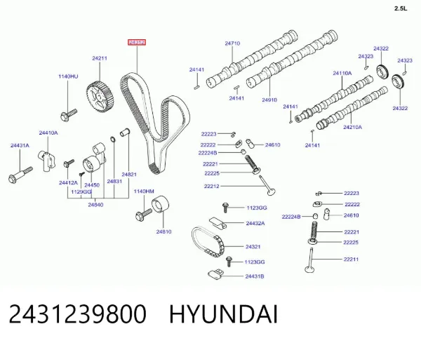 Pasek rozrządu 2431239800 Hyundai/Kia