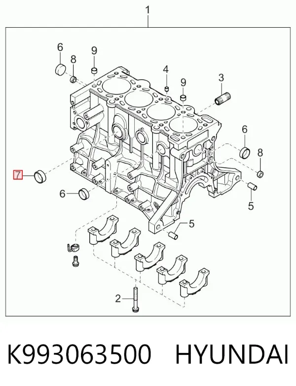 Zaślepka głowicy cylindrów/bloku cylindrów K993063500 Hyundai/Kia