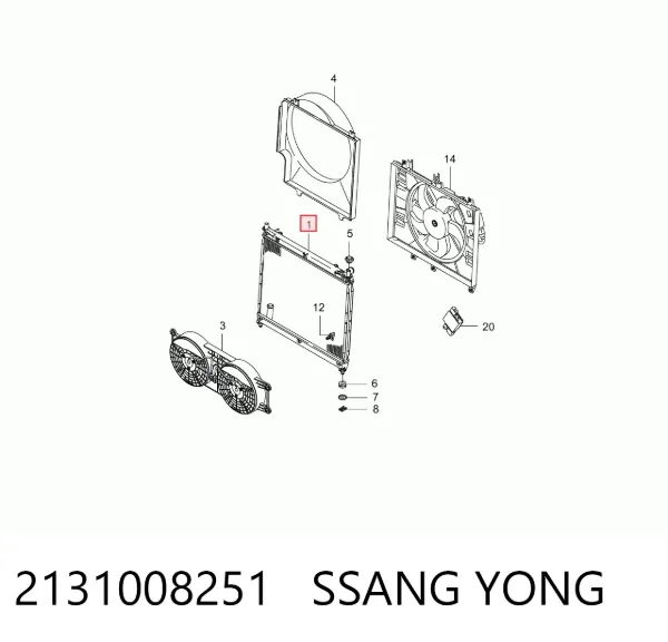 Chłodnica silnika 2131008251 Ssang Yong