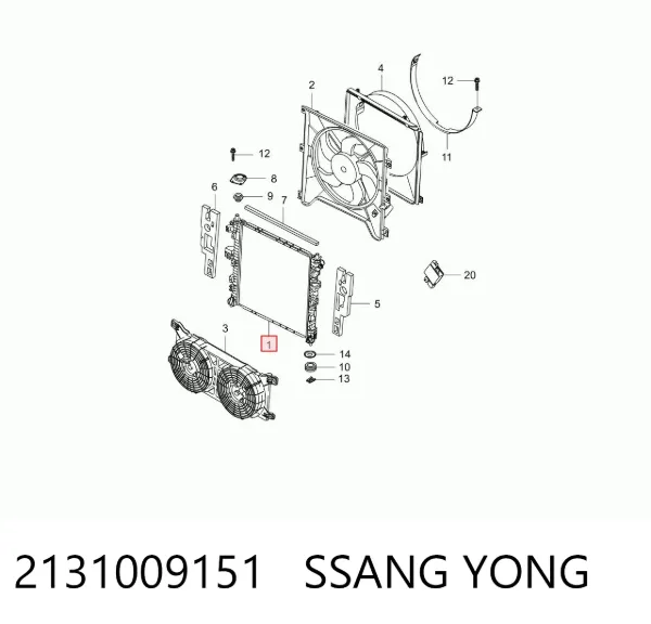 Chłodnica silnika 2131009151 Ssang Yong