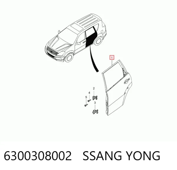 Drzwi tylne lewe SsangYong Rexton I