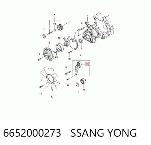 Napinacz paska napędowego SsangYong Rexton I