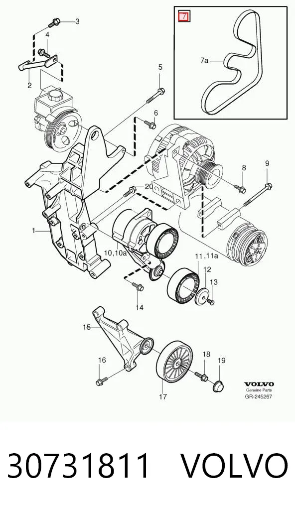 Pas napędowy mechanizmów 30731811 Volvo