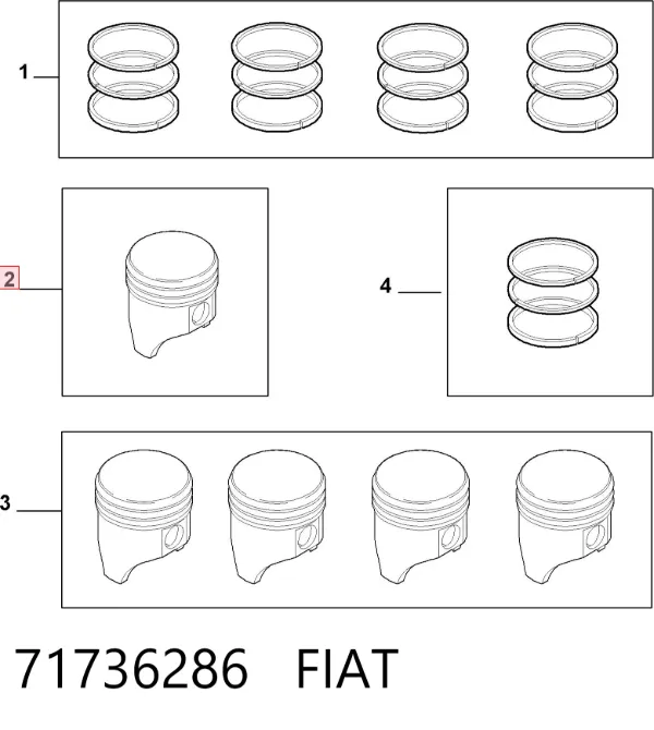 Tłok, komplet do jednego cylindru, STD 71736286 Fiat/Alfa/Lancia