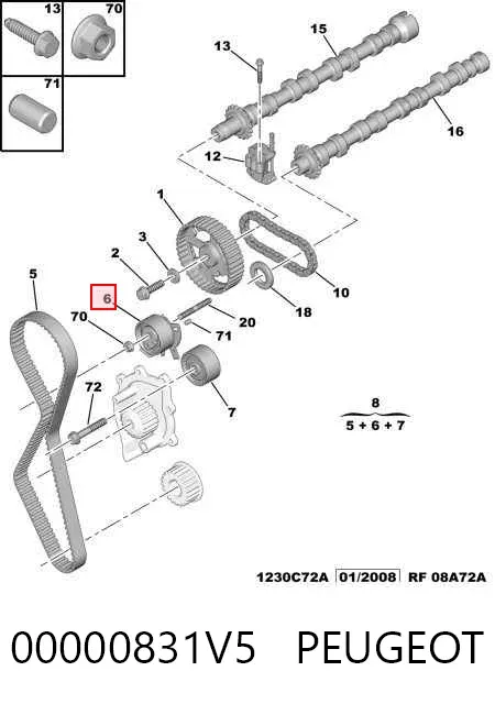 Pasek rozrządu, zestaw 00000831V5 Peugeot/Citroen